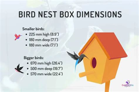 nest box hole size chart uk